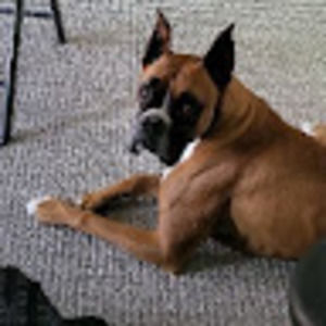 Meet your Posher, Erienne